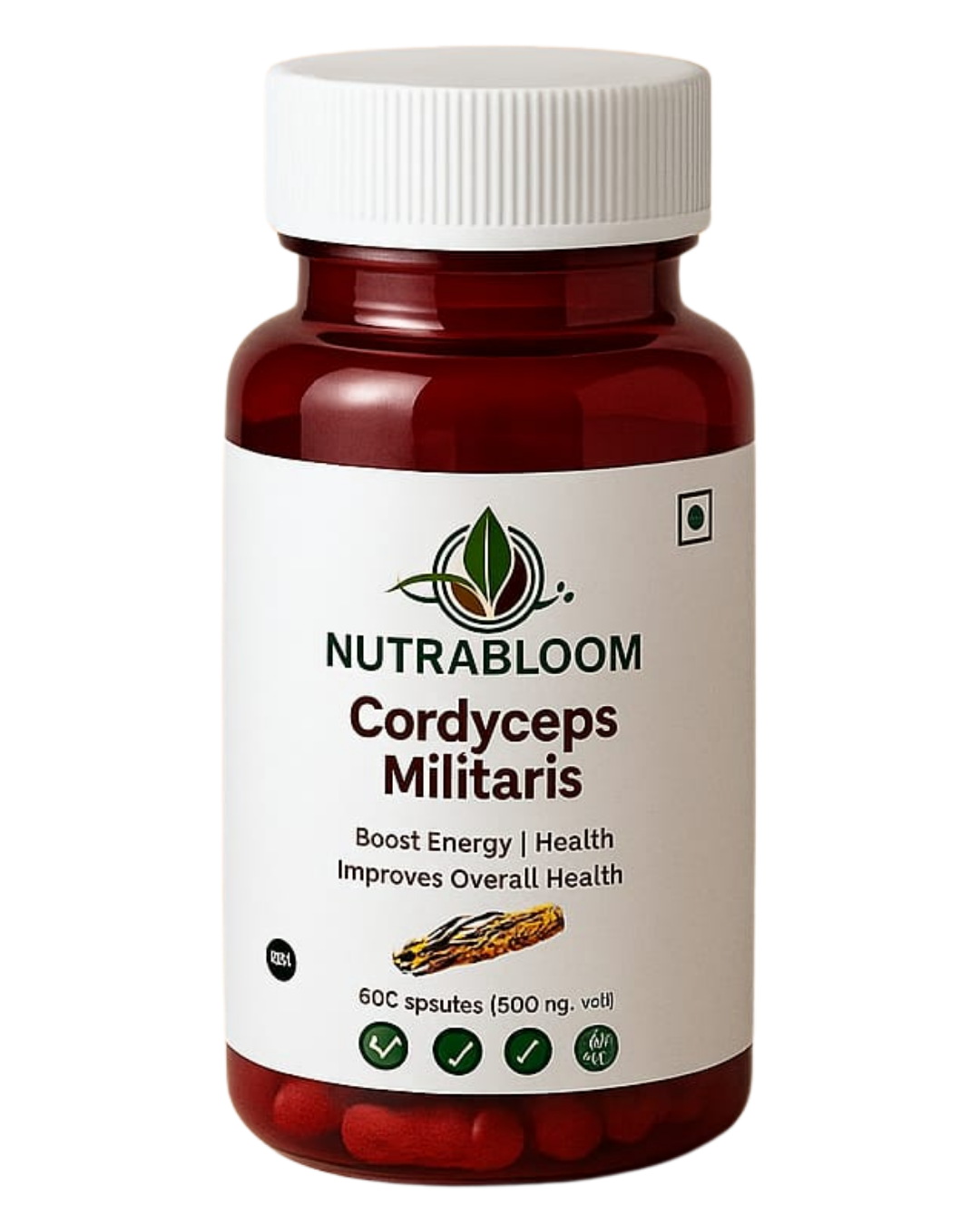 Cordyceps Militaris
